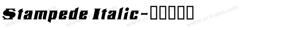 Stampede Italic字体转换